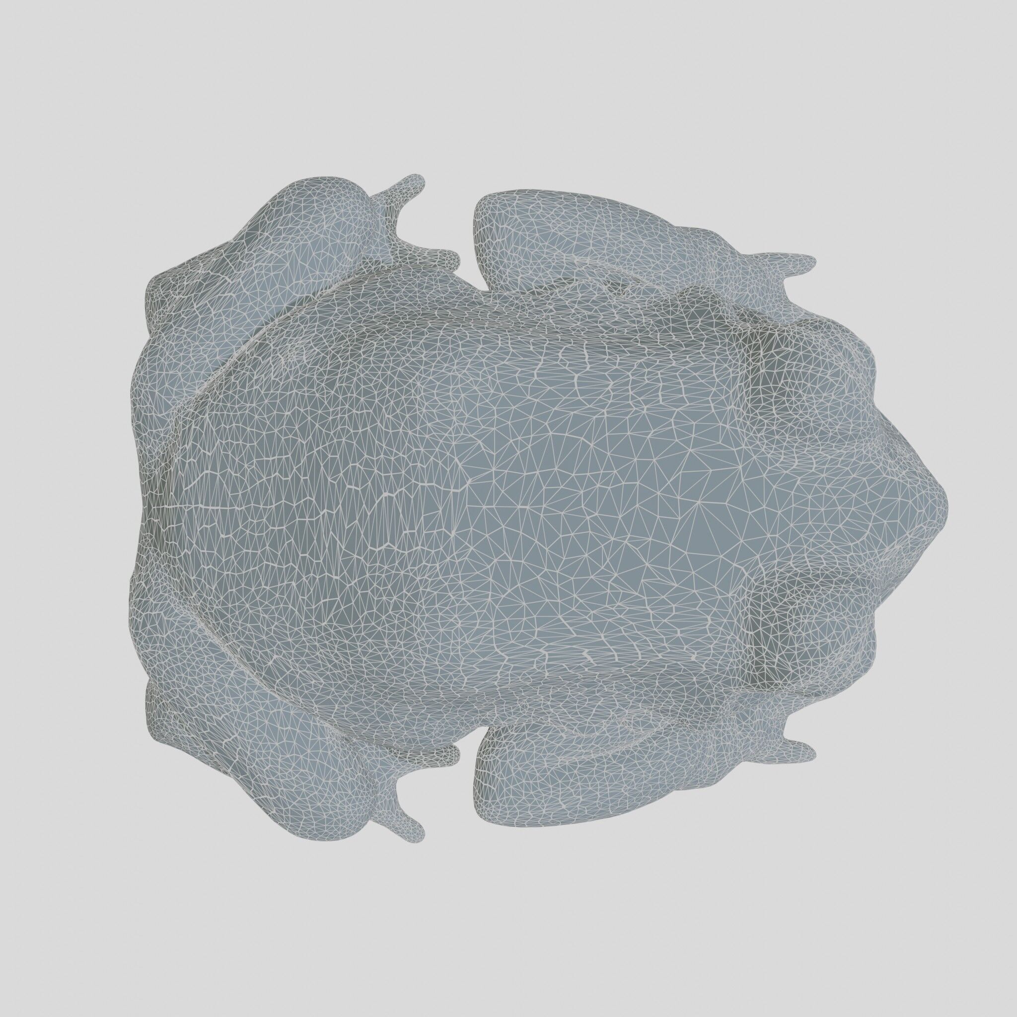 Realistic Tropical Frog 3D Model with High-Quality Textures Low-poly 3D model_23