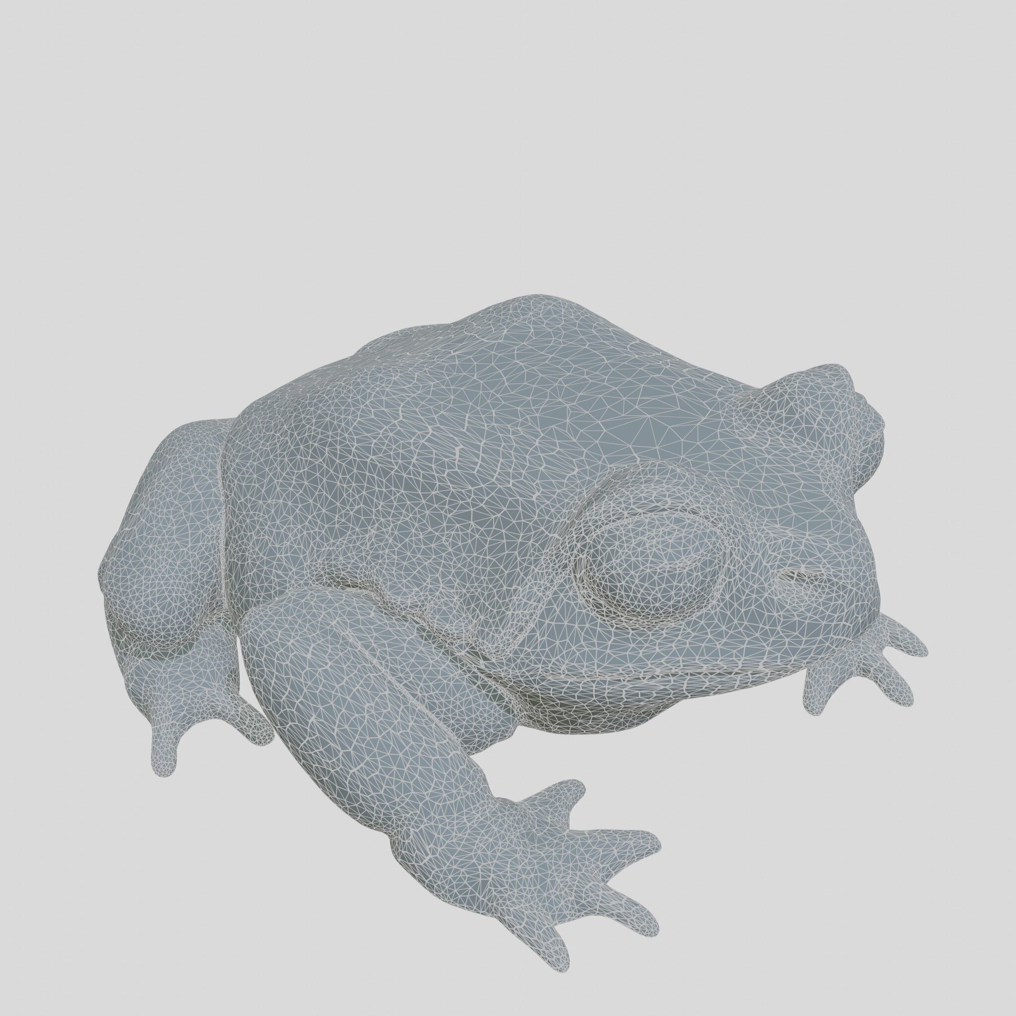 Realistic Tropical Frog 3D Model with High-Quality Textures Low-poly 3D model_11