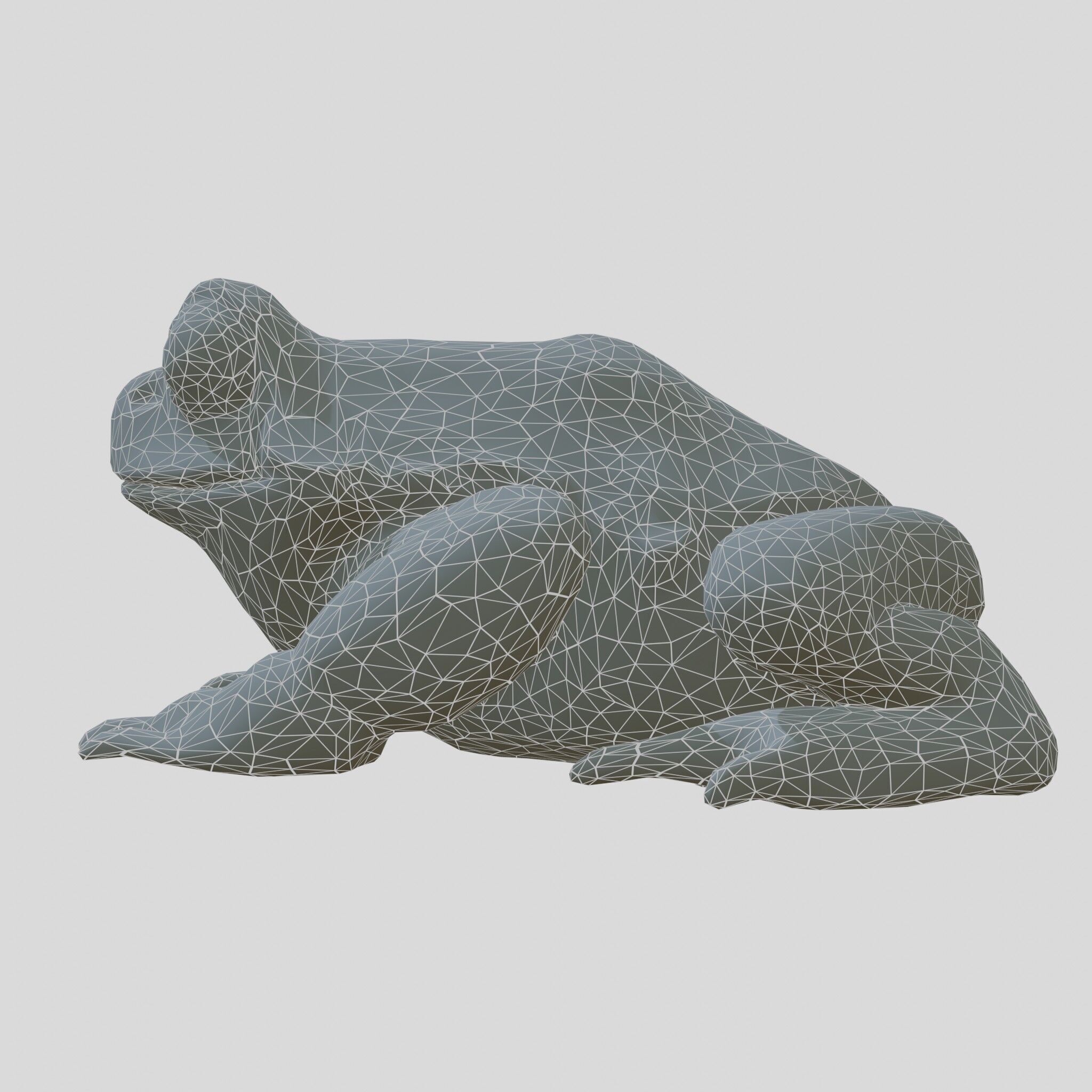 Realistic Tropical Frog 3D Model with High-Quality Textures Low-poly 3D model_6