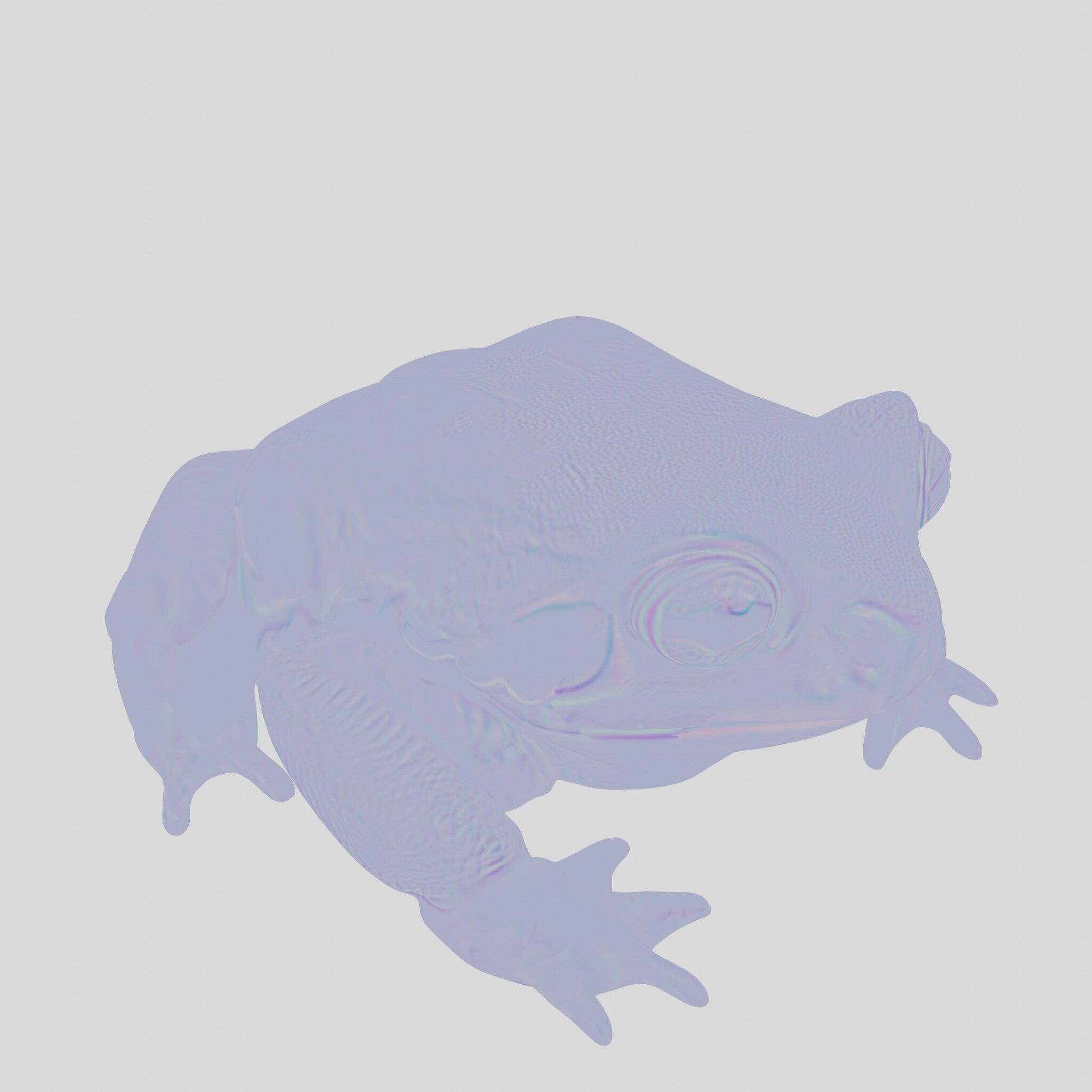 Realistic Tropical Frog 3D Model with High-Quality Textures Low-poly 3D model_26