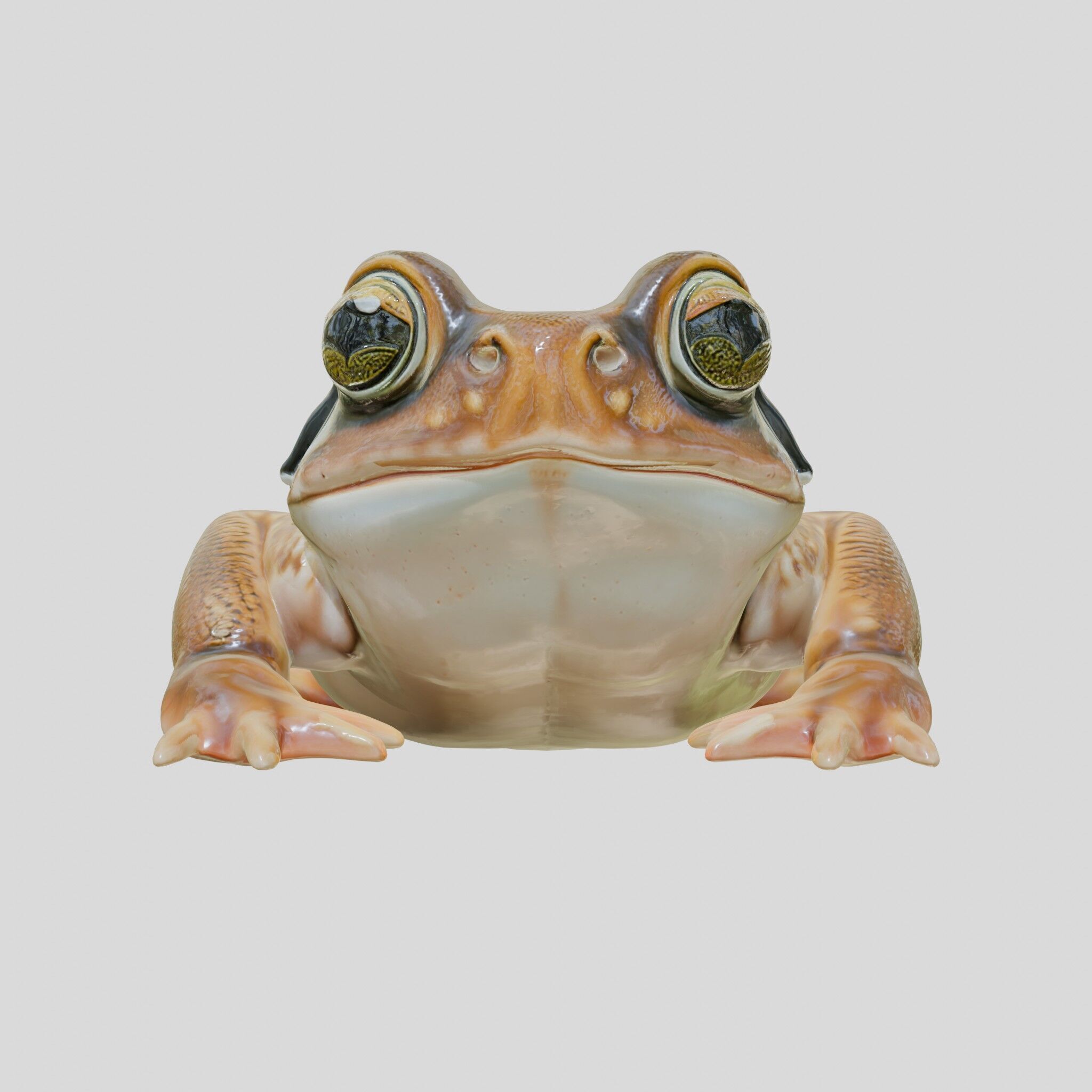 Realistic Tropical Frog 3D Model with High-Quality Textures Low-poly 3D model_14