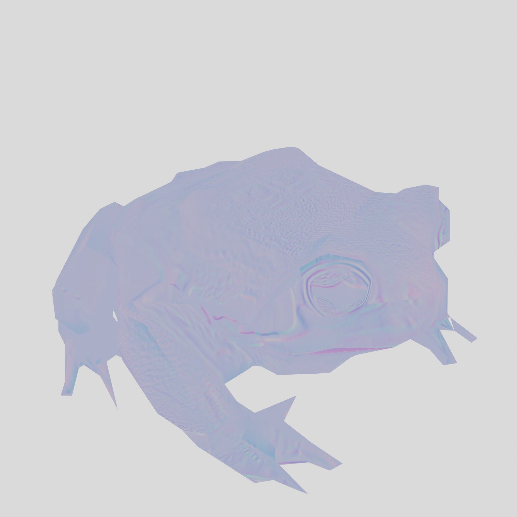 Realistic Tropical Frog 3D Model with High-Quality Textures Low-poly 3D model_28