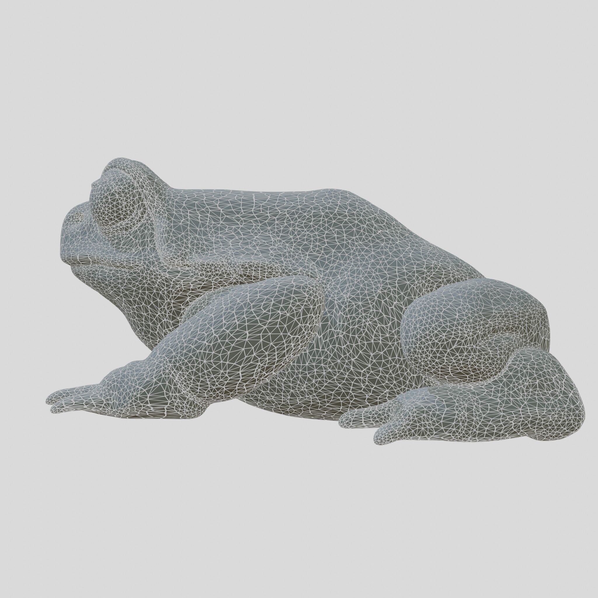 Realistic Tropical Frog 3D Model with High-Quality Textures Low-poly 3D model_5