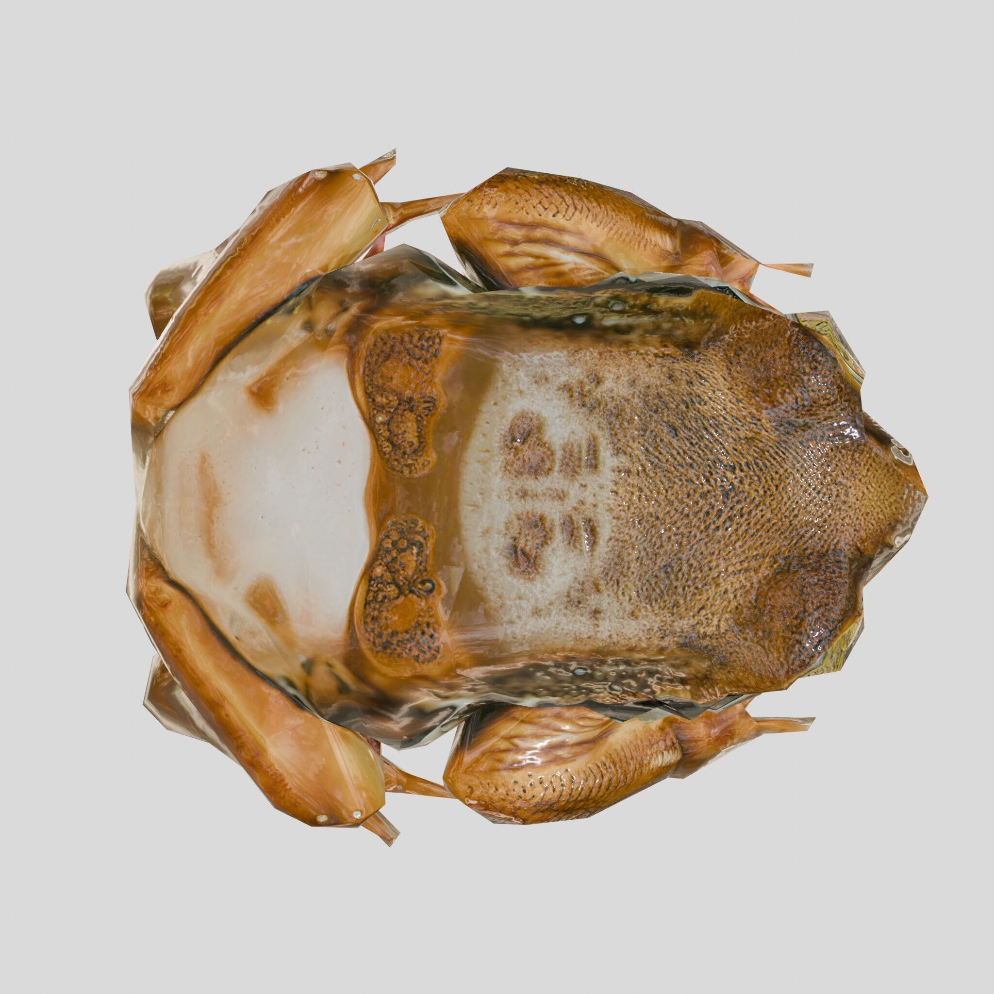 Realistic Tropical Frog 3D Model with High-Quality Textures Low-poly 3D model_22