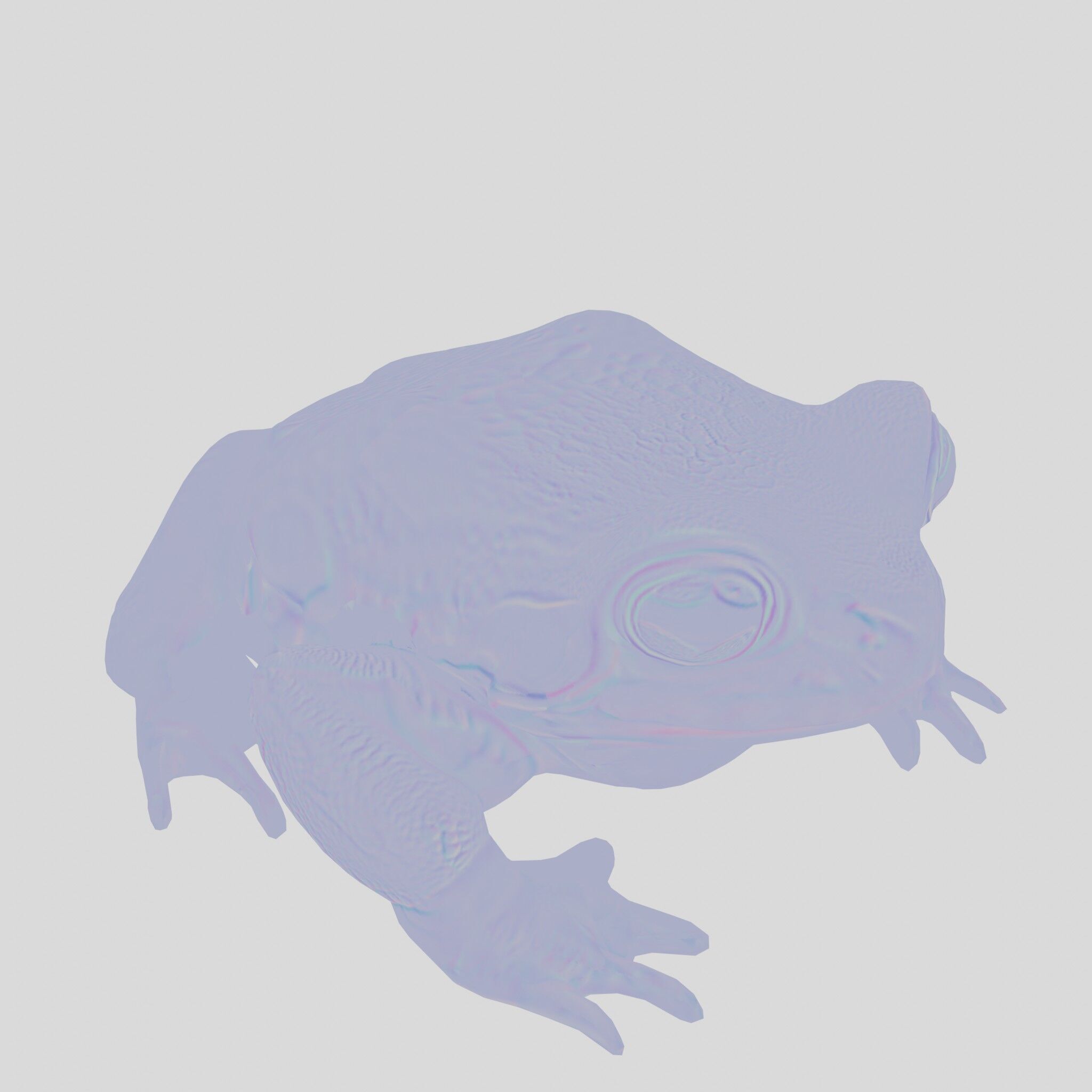 Realistic Tropical Frog 3D Model with High-Quality Textures Low-poly 3D model_27