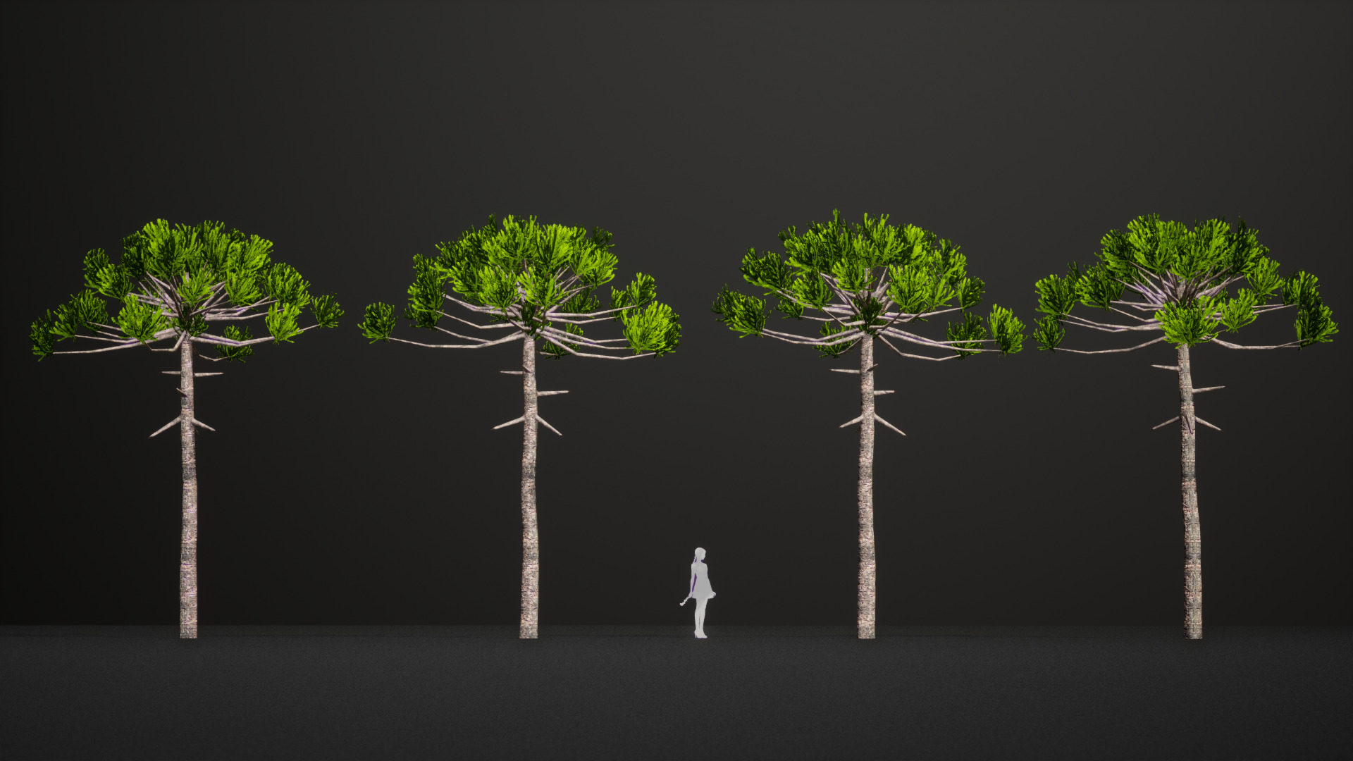 Critically Endangered Plant - 4 Araucaria angustifolia Tree Low-poly 3D model_6