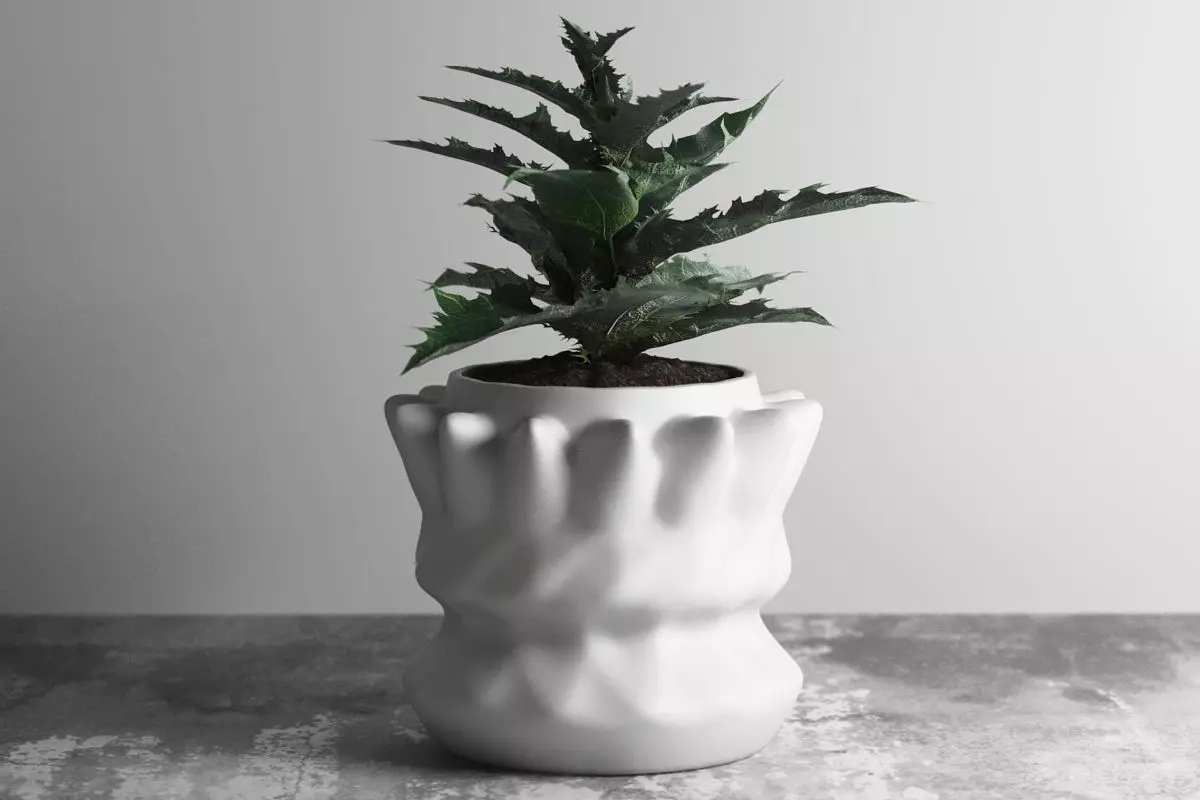 vase 3d print 681  3D print model_0