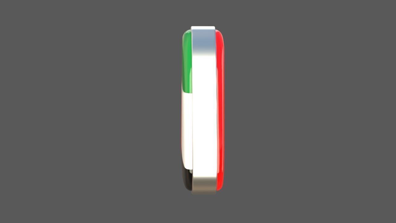 United Arab Emirates Flag Icon 3D model_4