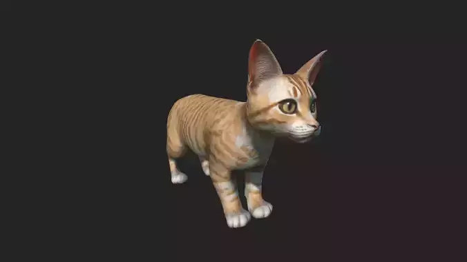Cat 3D Model 001