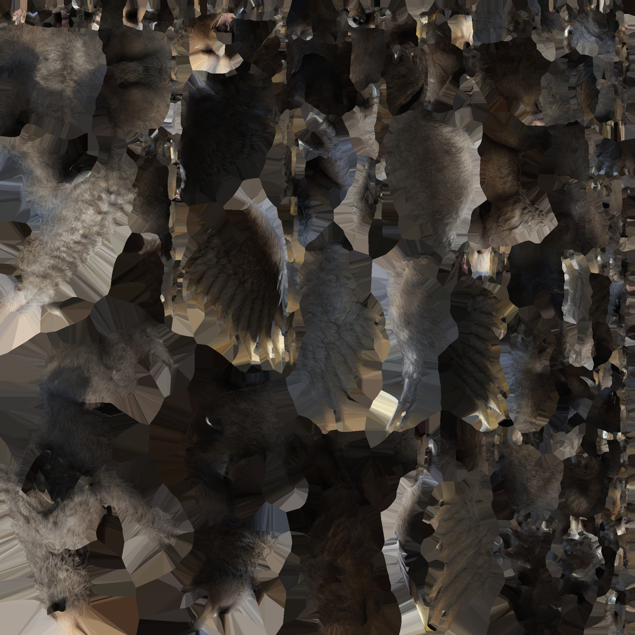 Ferocious Winged Bear Modello 3D Creature Mitologica Low-poly 3D model_14