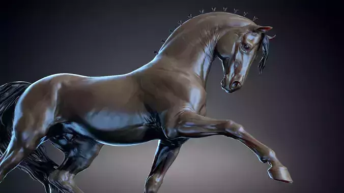 Andalusian horse  -   3D Sculpting 3D print model