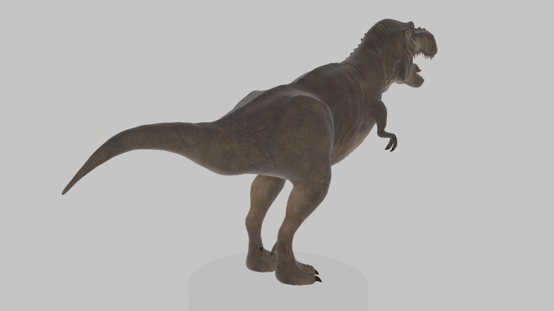 Tyrannosaurus Rex 3D Model 3D model_3