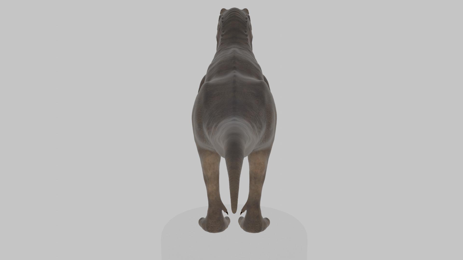 Tyrannosaurus Rex 3D Model 3D model_4