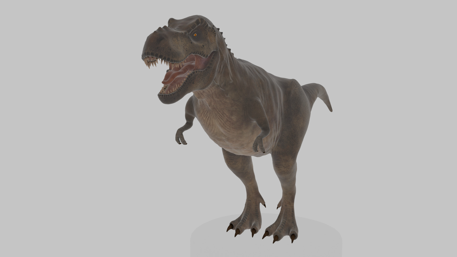 Tyrannosaurus Rex 3D Model 3D model_1