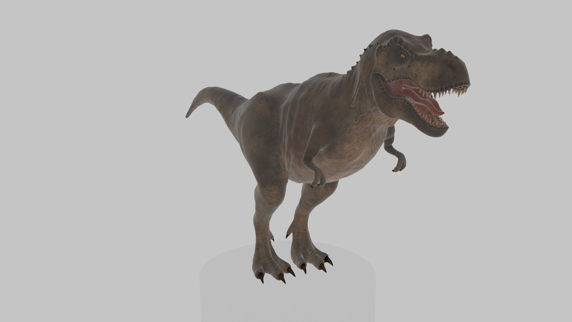 Tyrannosaurus Rex 3D Model 3D model_2