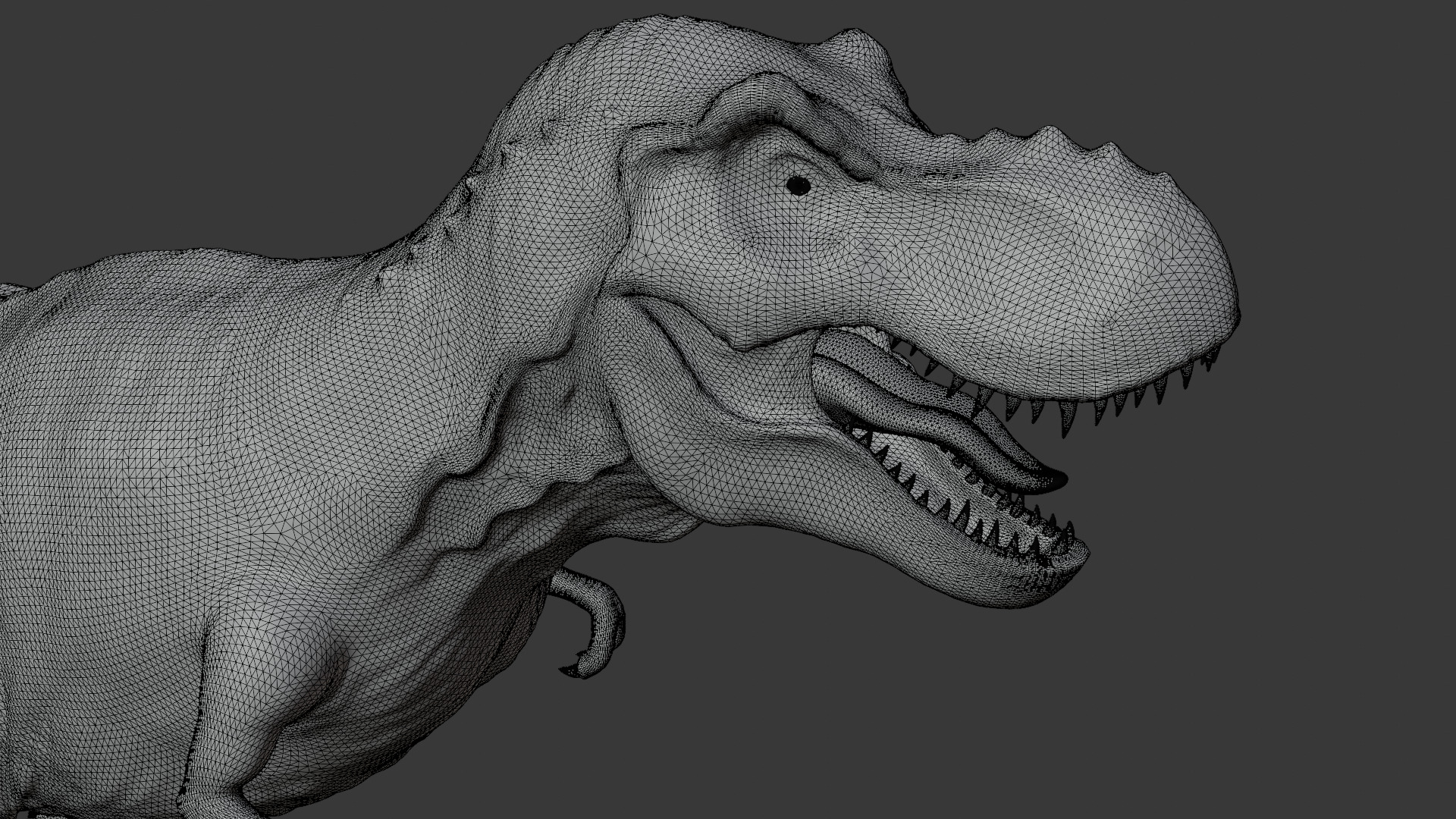 Tyrannosaurus Rex 3D Model 3D model_26