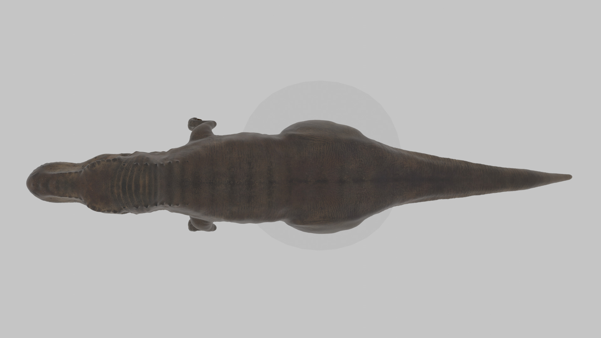 Tyrannosaurus Rex 3D Model 3D model_6