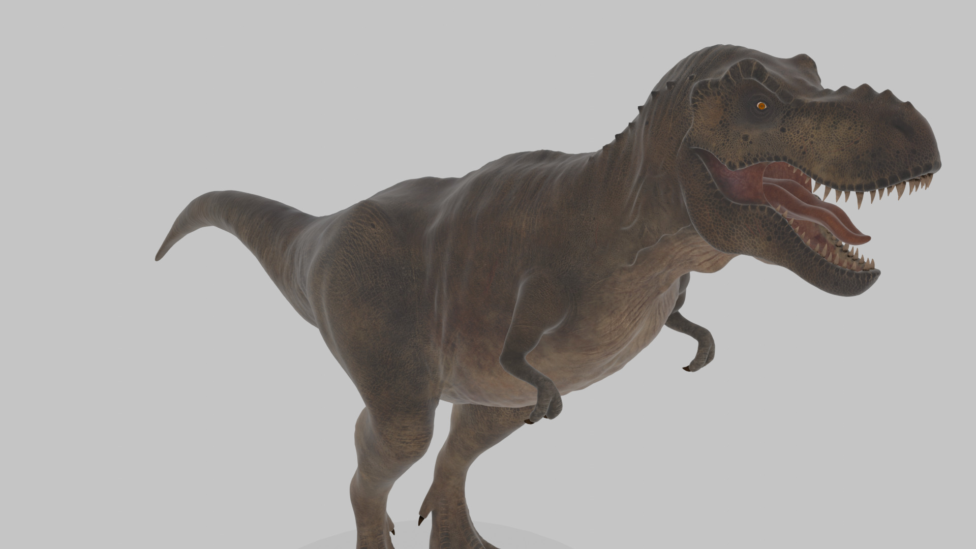 Tyrannosaurus Rex 3D Model 3D model_8