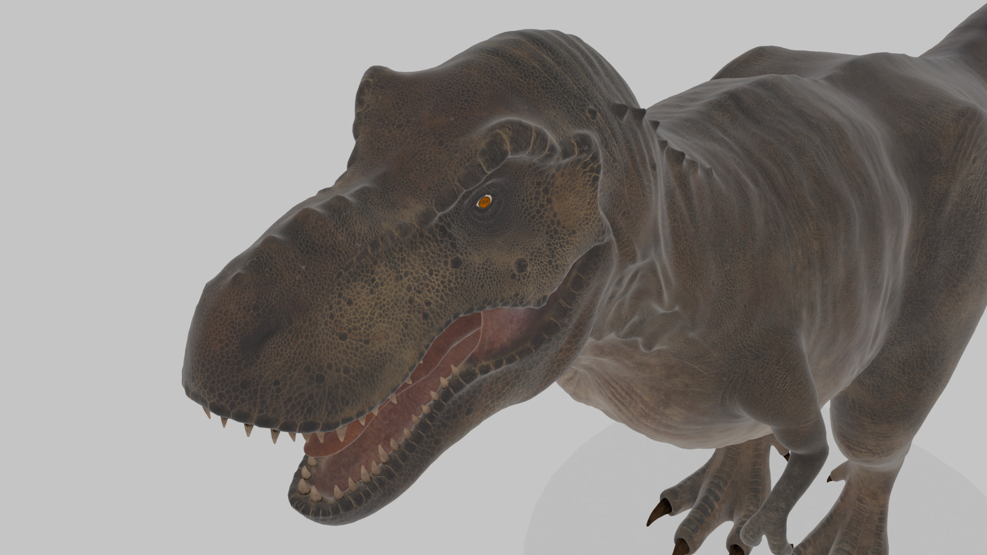 Tyrannosaurus Rex 3D Model 3D model_12