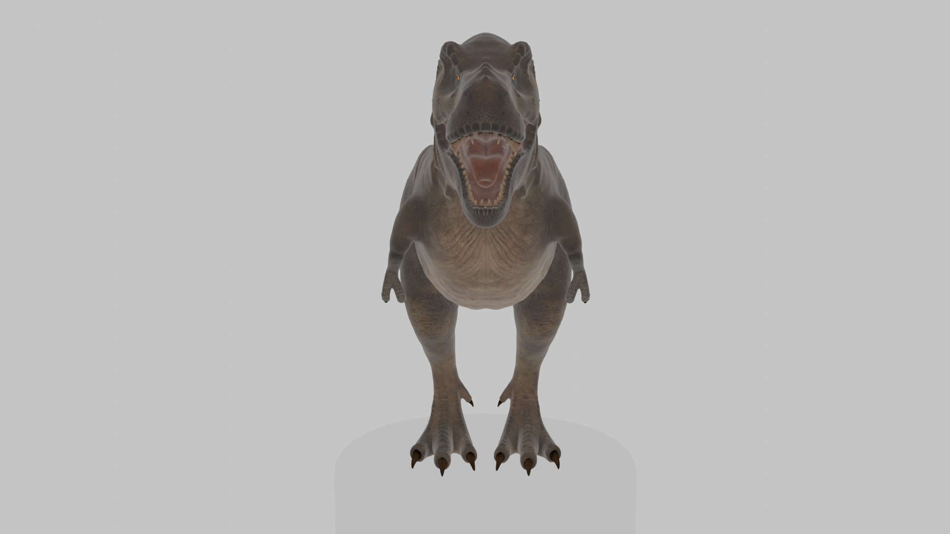 Tyrannosaurus Rex 3D Model 3D model_5