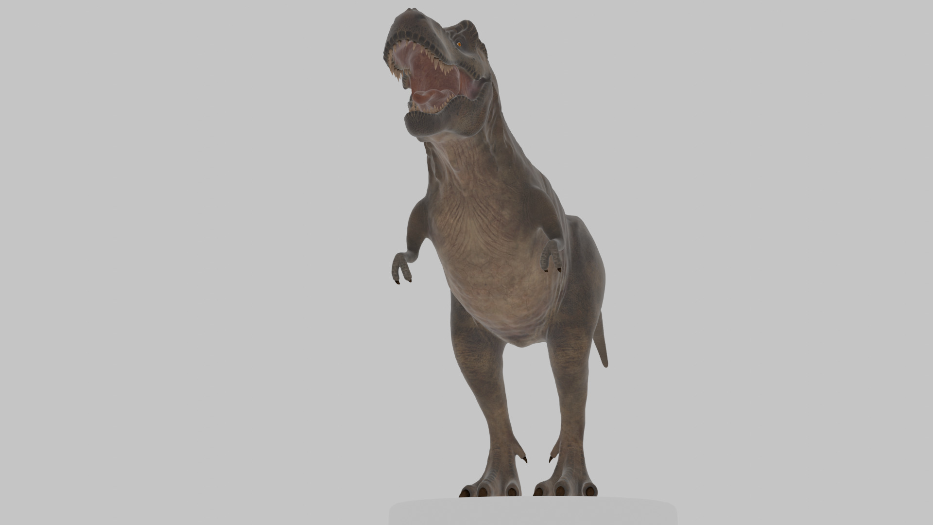 Tyrannosaurus Rex 3D Model 3D model_11