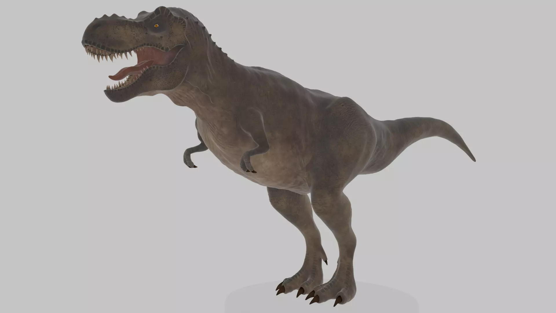 Tyrannosaurus Rex 3D Model 3D model_0