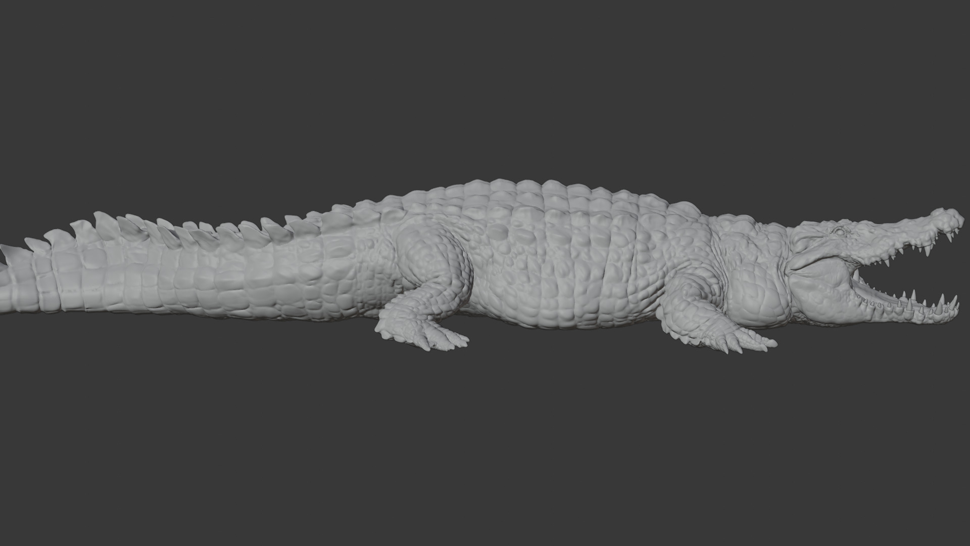 Highly Detailed Crocodile 3D Model 3D model_17