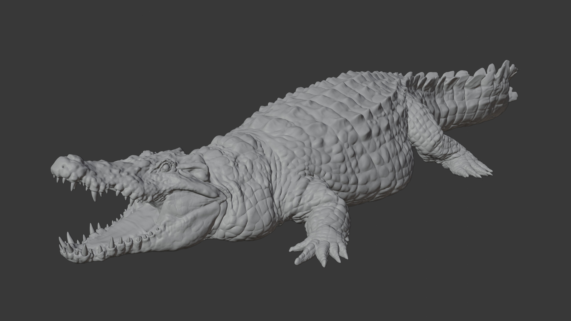 Highly Detailed Crocodile 3D Model 3D model_15