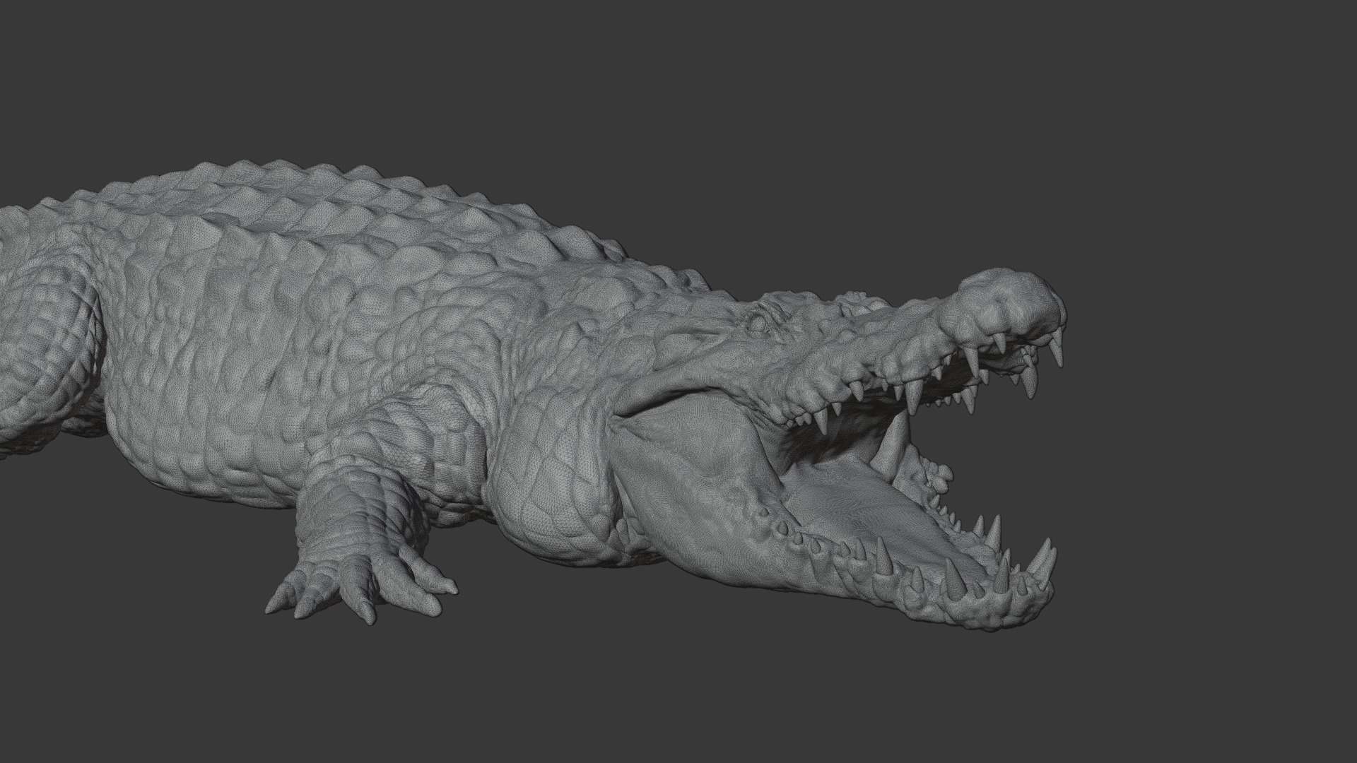 Highly Detailed Crocodile 3D Model 3D model_25