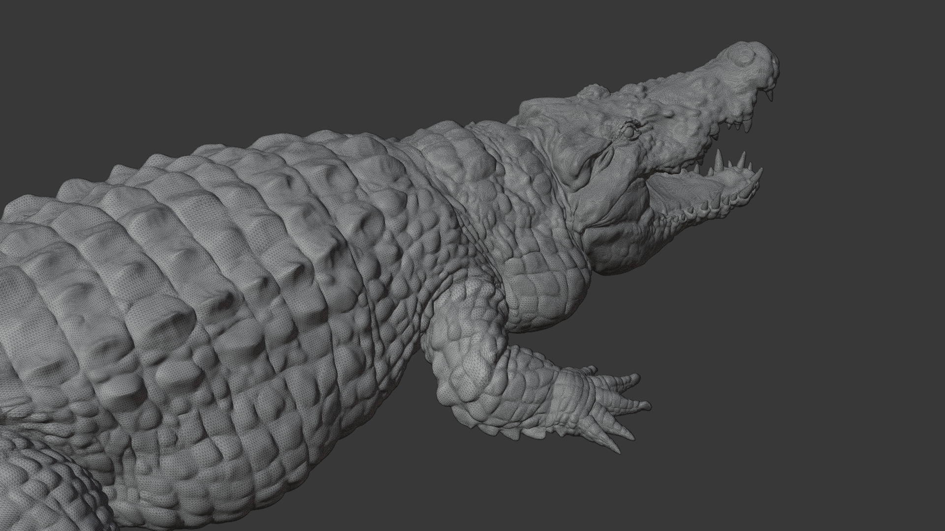 Highly Detailed Crocodile 3D Model 3D model_29