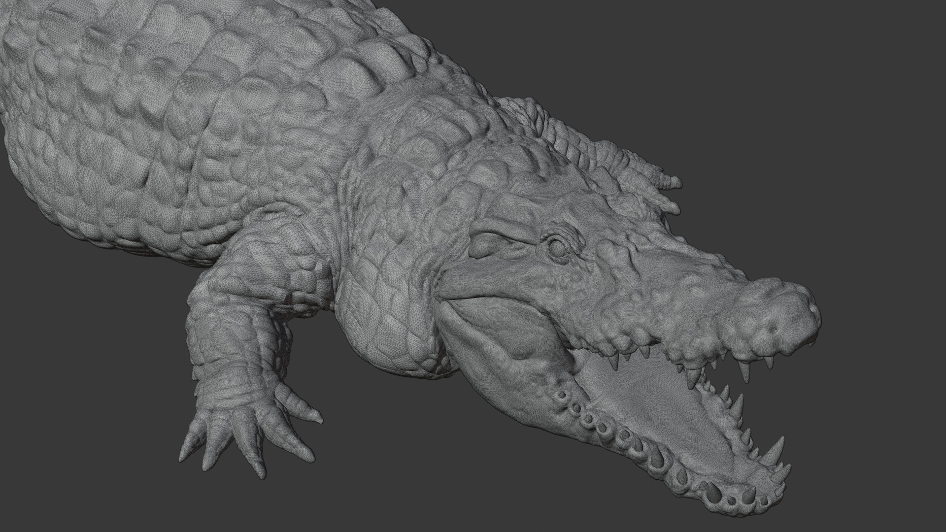 Highly Detailed Crocodile 3D Model 3D model_28