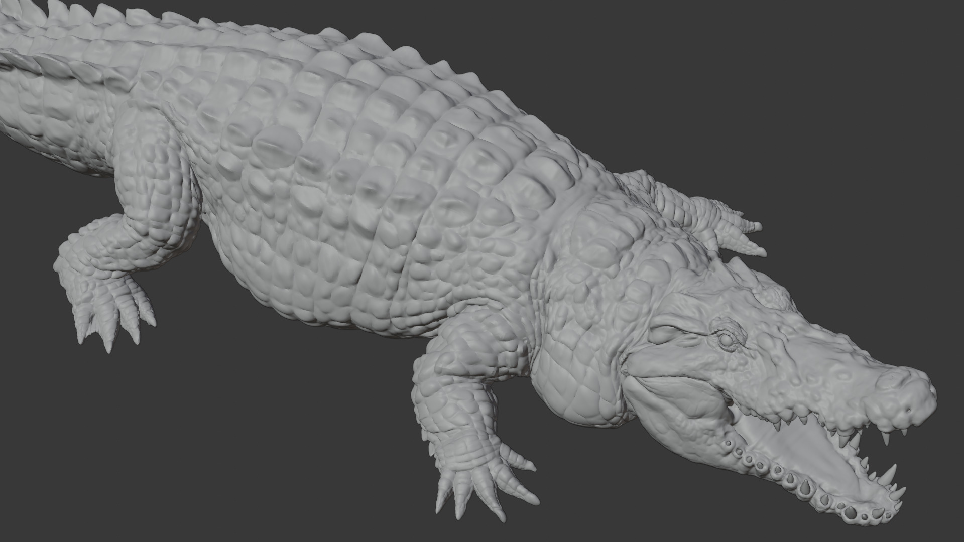 Highly Detailed Crocodile 3D Model 3D model_21