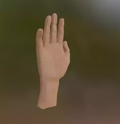 Almost realistic hand model Game-ready