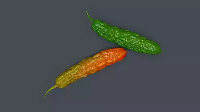 Bitter Gourd Low-poly 3D model
