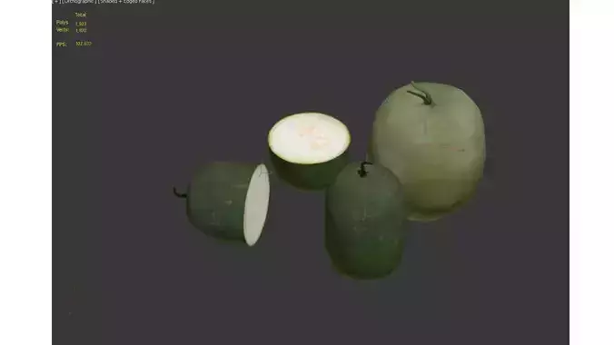 winter melon Free low-poly 3D model