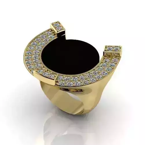 Ring Horseshoe N012985