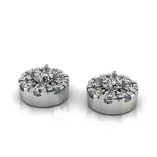 Earrings puset N012946