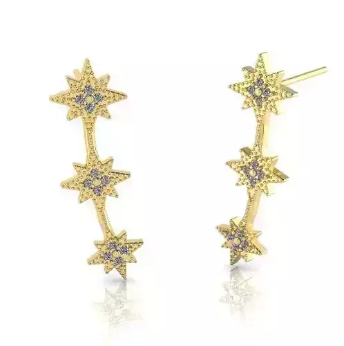 Earrings N013041