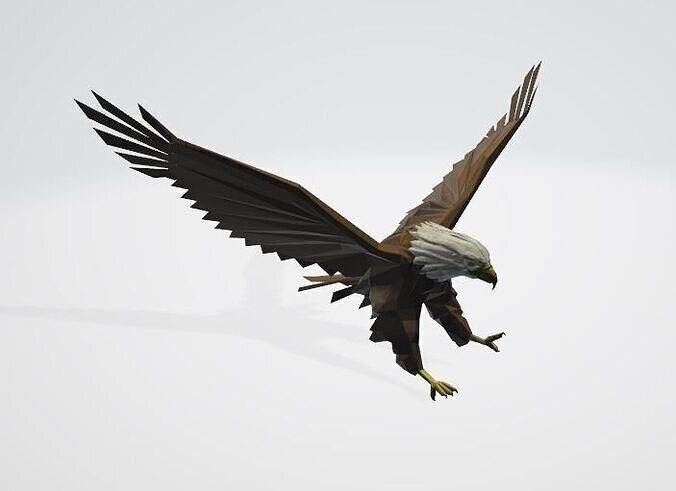 Eagle 3D model