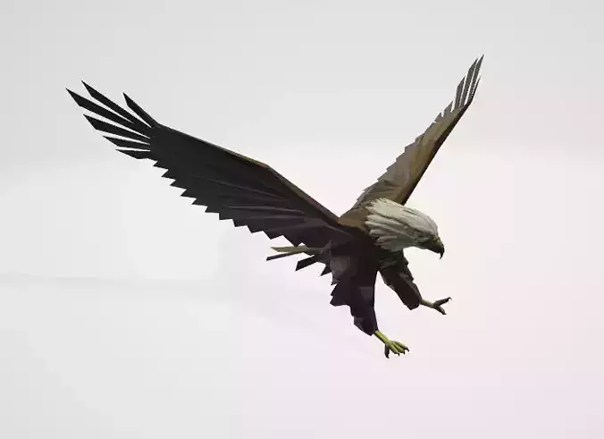 Eagle 3D model