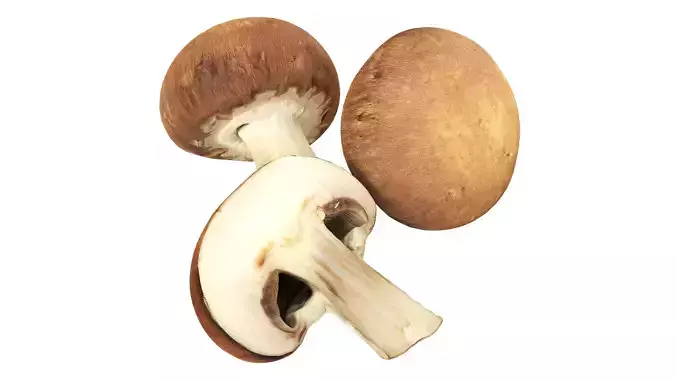 Brown cap mushrooms Low-poly 3D model