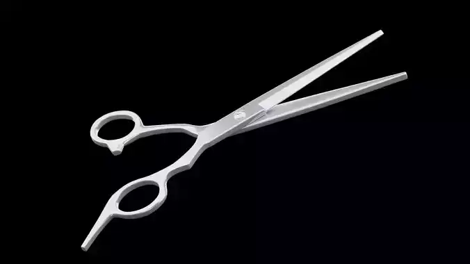 Hair Scissors