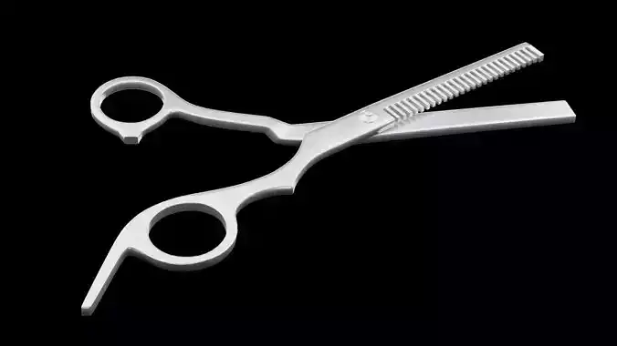Hair Scissors