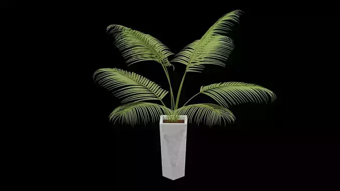 Fern Plant Decor