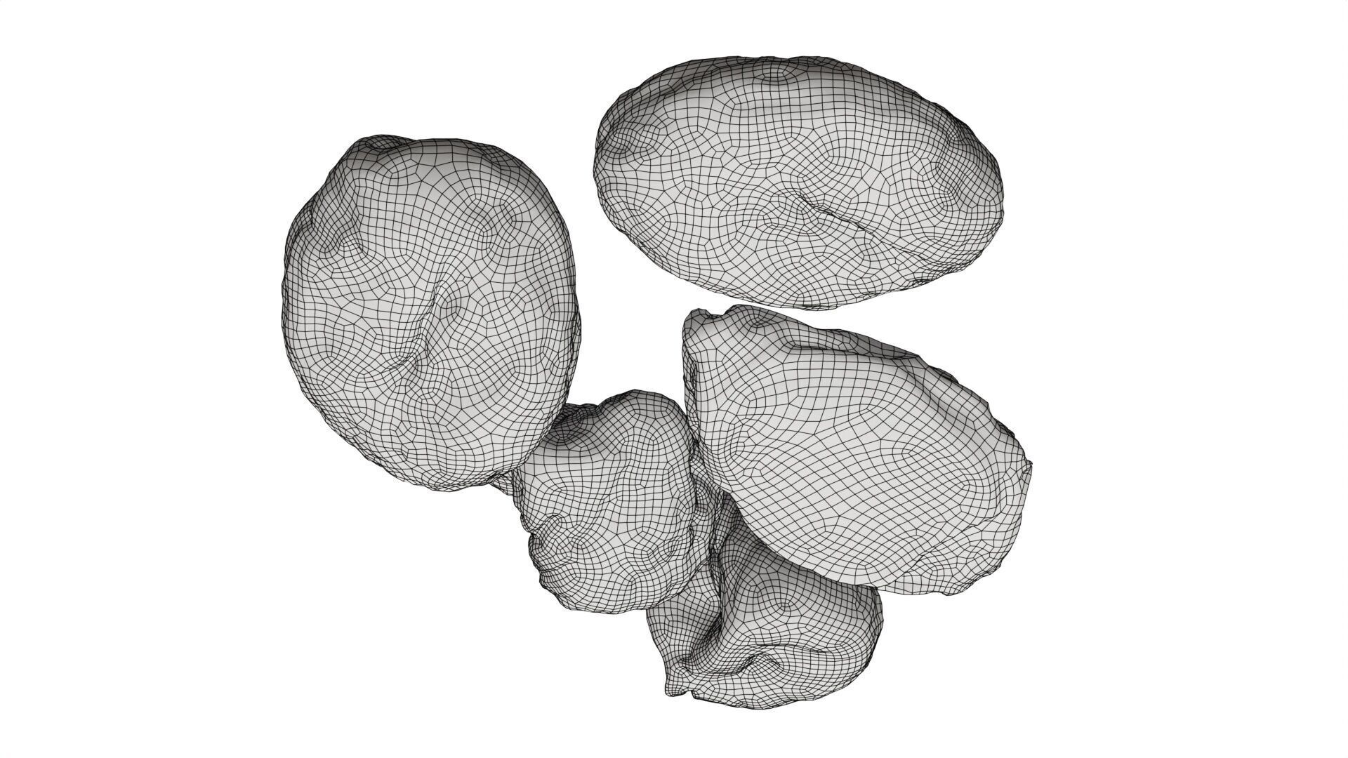 Dried fruits Low-poly 3D model_7