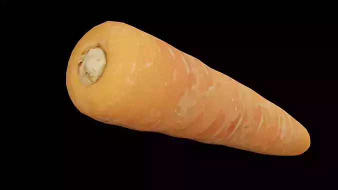 Carrot Vegetable