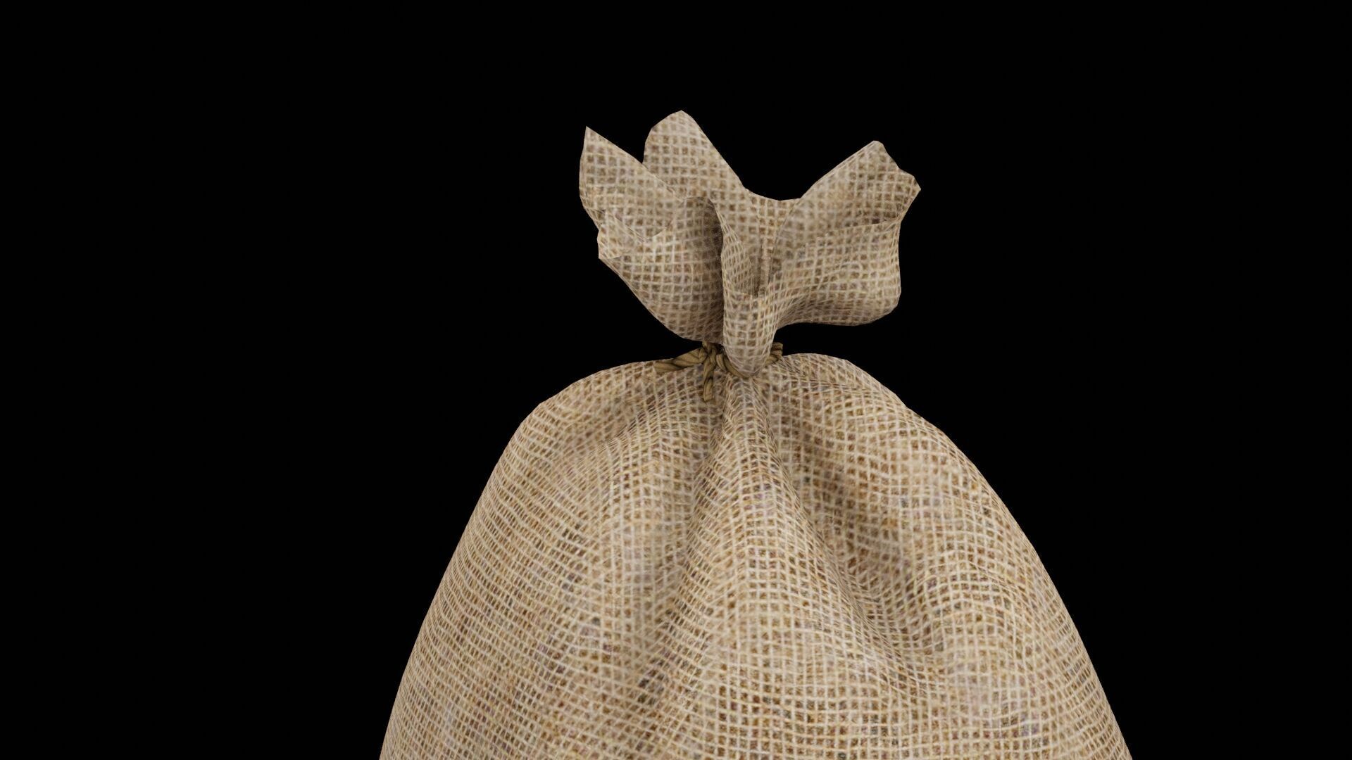 Sack of Potatoes Low-poly 3D model_3