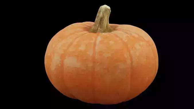 Pumpkin Fruit Low-poly 3D model