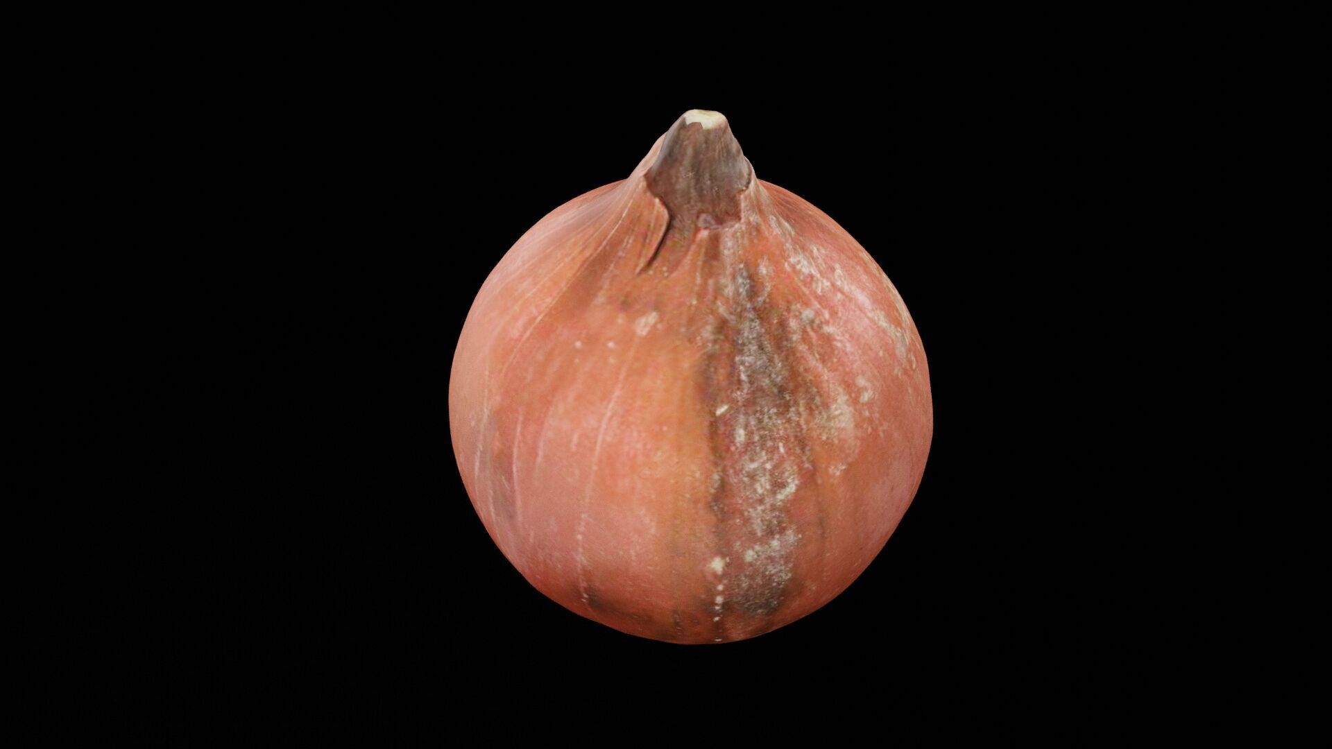 Onion Vegetable Low-poly 3D model_1