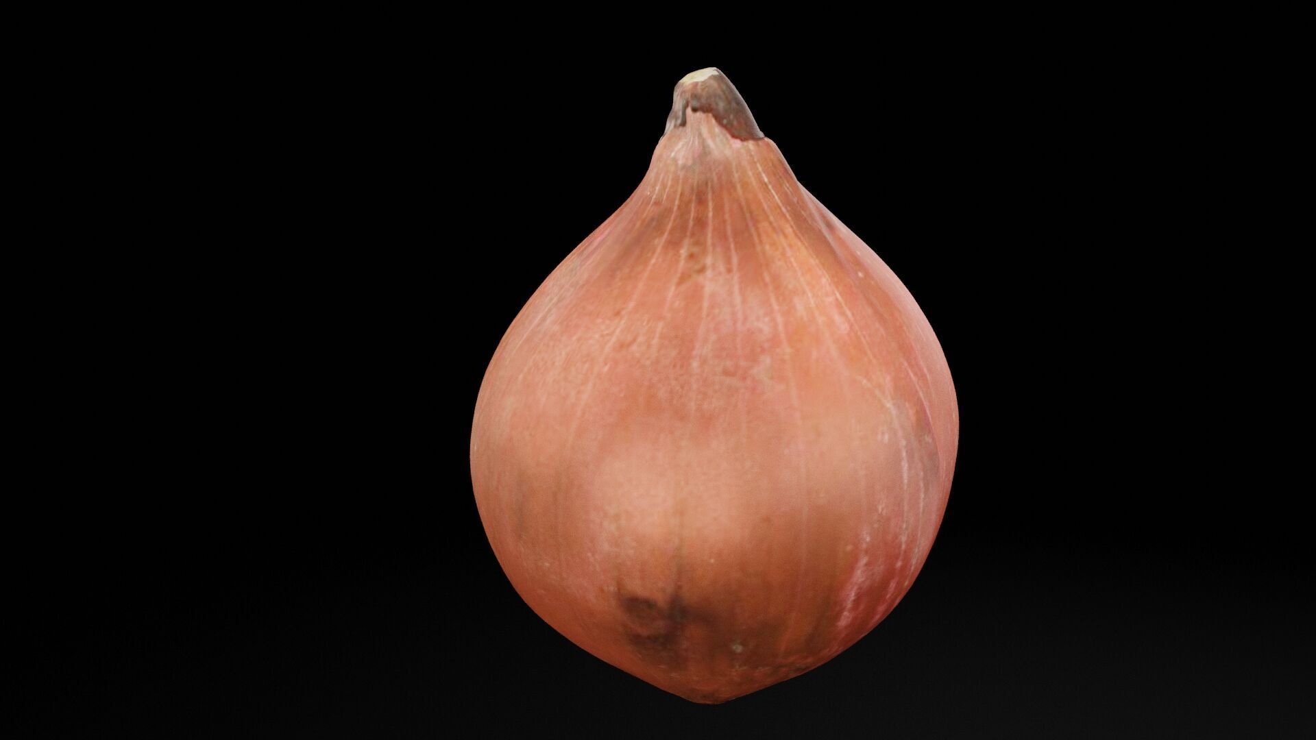 Onion Vegetable Low-poly 3D model_3
